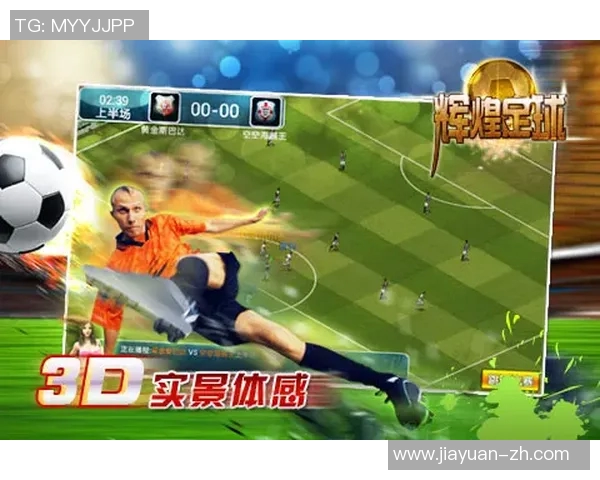 足球巨星成长之路：从街头到世界巅峰的传奇人生完整版