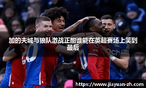 加的夫城与狼队激战正酣谁能在英超赛场上笑到最后